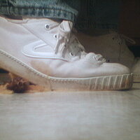  : Gallery : collection : 2005 : 07 : TOF00022.JPG