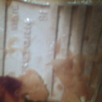  : Gallery : collection : 2005 : 07 : TOF00024.JPG