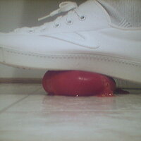  : Gallery : collection : 2005 : 07 : TOF00025.jpg