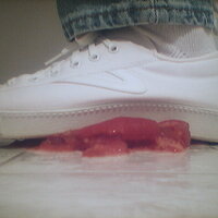  : Gallery : collection : 2005 : 07 : TOF00030.jpg