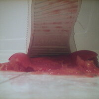  : Gallery : collection : 2005 : 07 : TOF00032.jpg