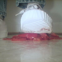  : Gallery : collection : 2005 : 07 : TOF00036.jpg