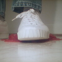  : Gallery : collection : 2005 : 07 : TOF00037.jpg