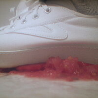  : Gallery : collection : 2005 : 07 : TOF00039.jpg