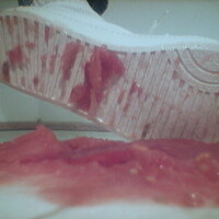  : Gallery : collection : 2005 : 07 : TOF00043.jpg