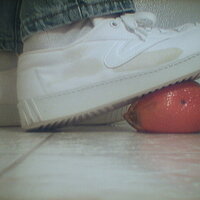  : Gallery : collection : 2005 : 07 : TOF00046.jpg