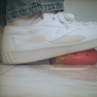  : Gallery : collection : 2005 : 07 : TOF00048.jpg