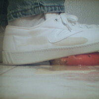  : Gallery : collection : 2005 : 07 : TOF00049.jpg