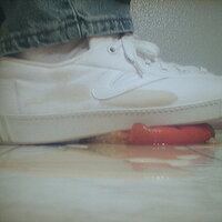  : Gallery : collection : 2005 : 07 : TOF00050.jpg