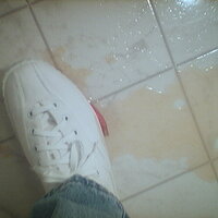  : Gallery : collection : 2005 : 07 : TOF00051.jpg