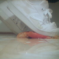  : Gallery : collection : 2005 : 07 : TOF00054.jpg