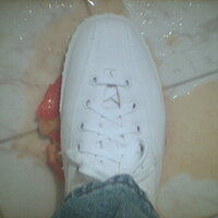  : Gallery : collection : 2005 : 07 : TOF00055.jpg