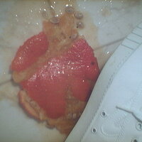  : Gallery : collection : 2005 : 07 : TOF00056.jpg