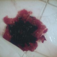  : Gallery : collection : 2005 : 07 : plum15.jpg