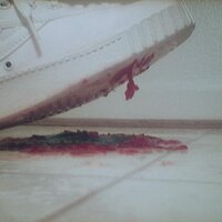  : Gallery : collection : 2005 : 07 : plum18.jpg