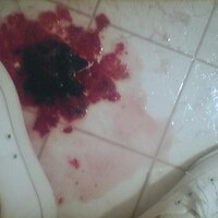  : Gallery : collection : 2005 : 07 : plum20.jpg