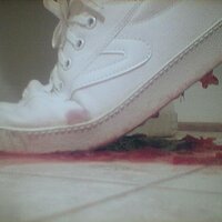  : Gallery : collection : 2005 : 07 : plum21.jpg