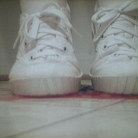  : Gallery : collection : 2005 : 07 : plum23.jpg