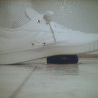  : Gallery : collection : 2005 : 07 : plum5.jpg