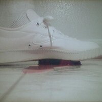  : Gallery : collection : 2005 : 07 : plum8.jpg