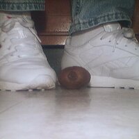  : Gallery : collection : 2005 : 07 : reebok1.jpg