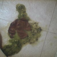  : Gallery : collection : 2005 : 07 : reebok10.jpg