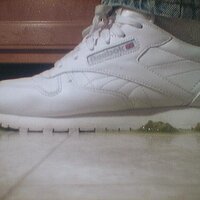  : Gallery : collection : 2005 : 07 : reebok12.jpg