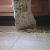  : Gallery : collection : 2005 : 07 : reebok14.jpg