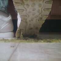  : Gallery : collection : 2005 : 07 : reebok17.jpg