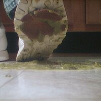  : Gallery : collection : 2005 : 07 : reebok18.jpg