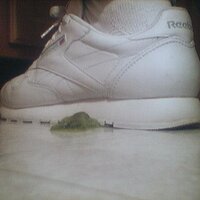  : Gallery : collection : 2005 : 07 : reebok9.jpg