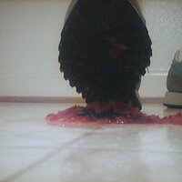  : Gallery : collection : 2005 : 07 : saucony11.jpg