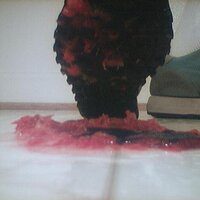  : Gallery : collection : 2005 : 07 : saucony13.jpg