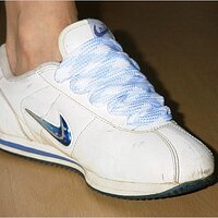  : Gallery : collection : 2005 : 10 : Cortez1365.jpg