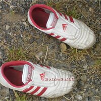  : Gallery : collection : 2005 : 10 : DSC00344.JPG