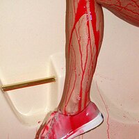  : Gallery : collection : 2006 : 05 : ariel00042.jpg