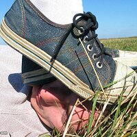  : Gallery : collection : 2006 : 08 : i133_90.jpg