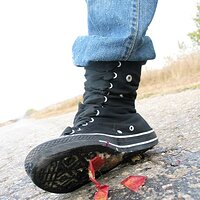  : Gallery : collection : 2006 : 08 : i135_59.jpg