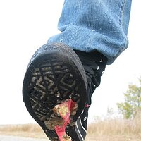  : Gallery : collection : 2006 : 08 : i135_60.jpg