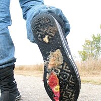  : Gallery : collection : 2006 : 08 : i135_61.jpg