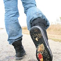  : Gallery : collection : 2006 : 08 : i135_62.jpg