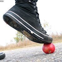  : Gallery : collection : 2006 : 08 : i135_66.jpg