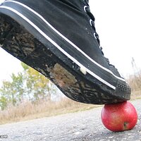  : Gallery : collection : 2006 : 08 : i135_67.jpg