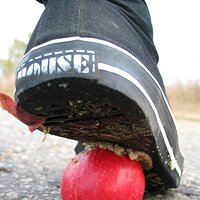  : Gallery : collection : 2006 : 08 : i135_68.jpg