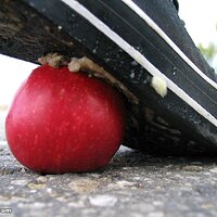  : Gallery : collection : 2006 : 08 : i135_69.jpg