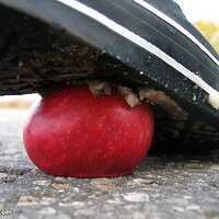  : Gallery : collection : 2006 : 08 : i135_70.jpg