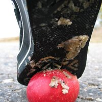  : Gallery : collection : 2006 : 08 : i135_71.jpg