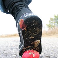  : Gallery : collection : 2006 : 08 : i135_72.jpg