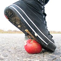  : Gallery : collection : 2006 : 08 : i135_73.jpg