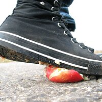  : Gallery : collection : 2006 : 08 : i135_75.jpg